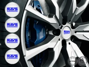 Rays Decalcomania Cupola Stile Distintivi Ruota Custom